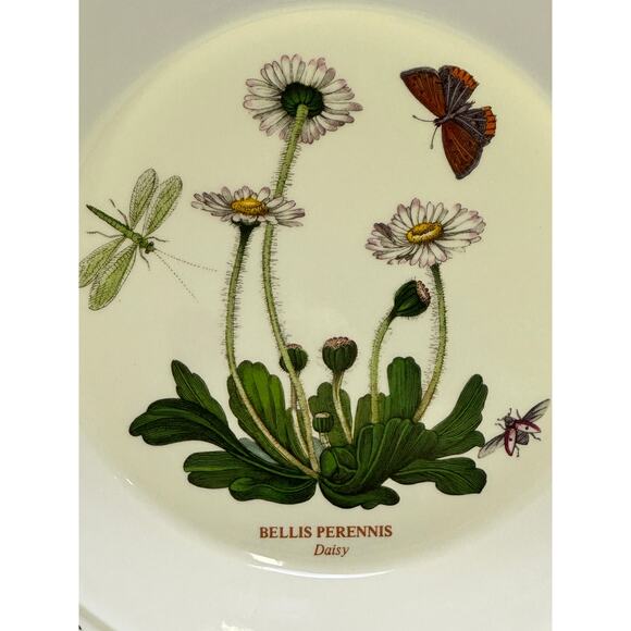 Portmeirion Vintage Botanic Garden England 8.5" Daisy Rim Soup Bowl Set of 8 - Picture 2 of 4